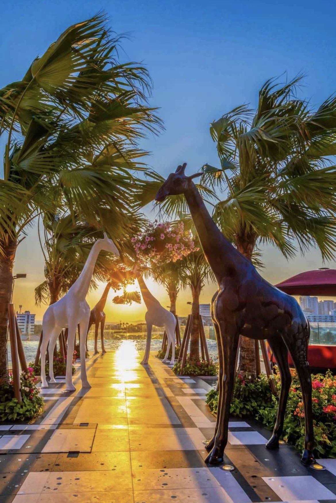 Riviera Ocean Drive